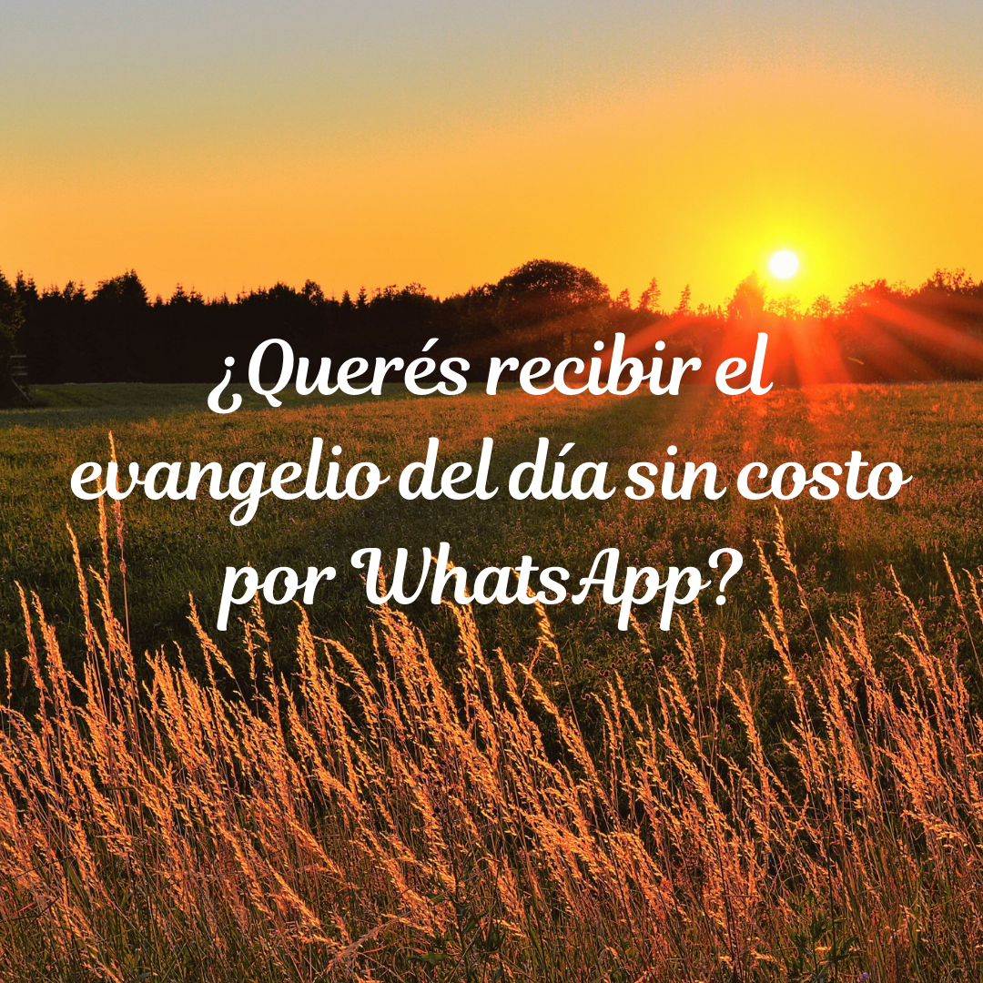 ¿Querés recibir el evangelio de hoy todos los días?