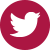 Icono Twitter Image
